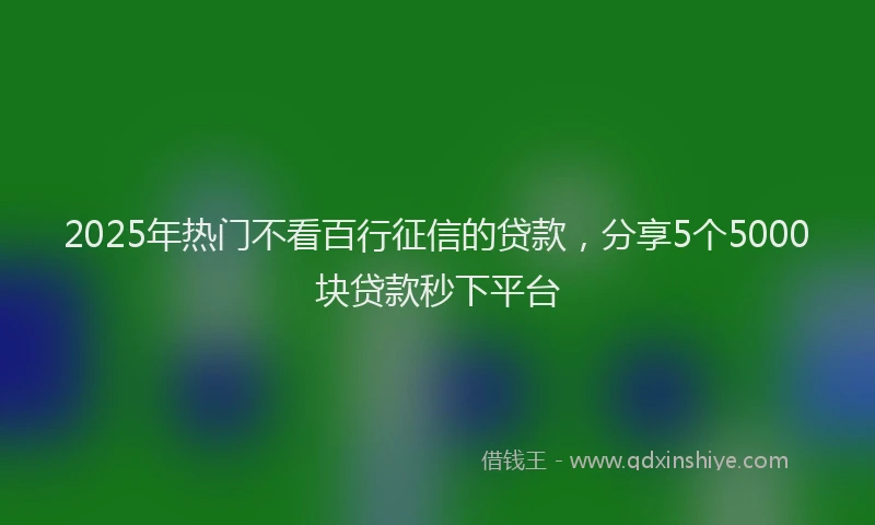 2025年热门不看百行征信的贷款，分享5个5000块贷款秒下平台
