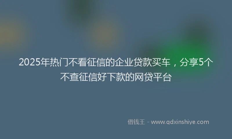 2025年热门不看征信的企业贷款买车，分享5个不查征信好下款的网贷平台