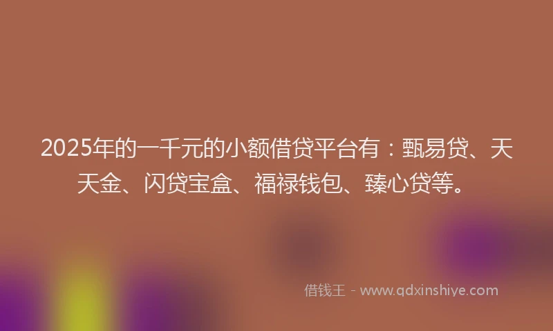2025年的一千元的小额借贷平台有：甄易贷、天天金、闪贷宝盒、福禄钱包、臻心贷等。