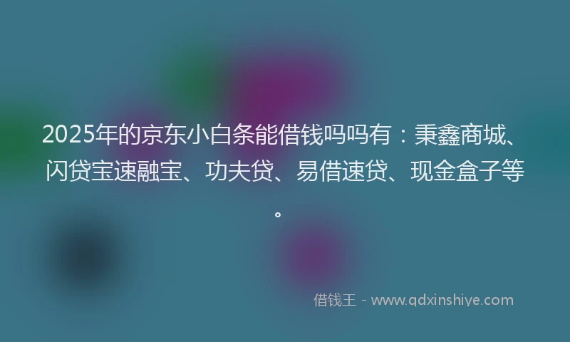 2025年的京东小白条能借钱吗吗有：秉鑫商城、闪贷宝速融宝、功夫贷、易借速贷、现金盒子等。