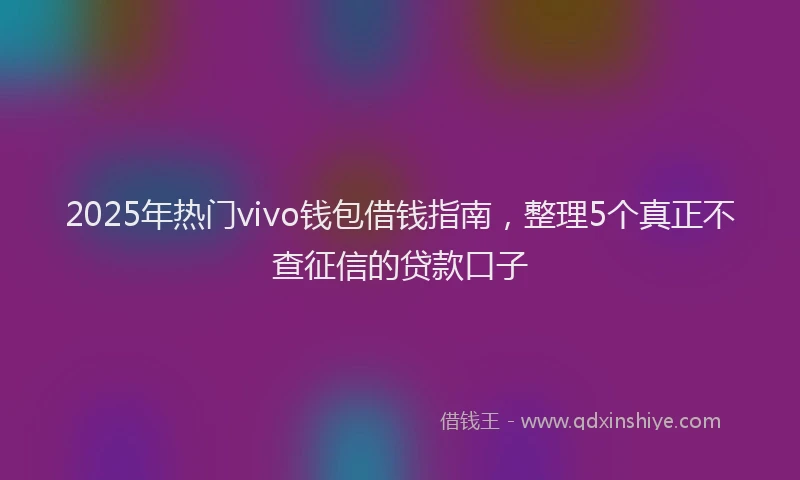 2025年热门vivo钱包借钱指南，整理5个真正不查征信的贷款口子