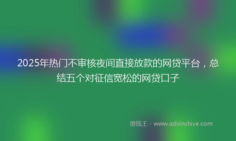 2025年热门不审核夜间直接放款的网贷平台，总结五个对征信宽松的网贷口子