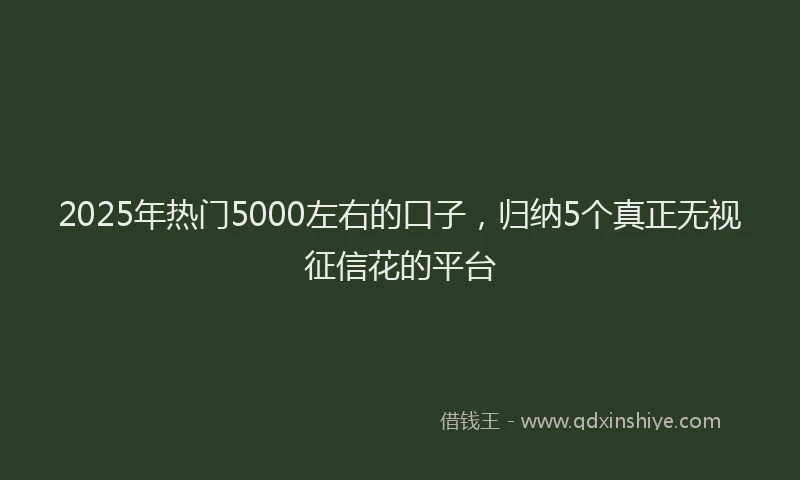 2025年热门5000左右的口子，归纳5个真正无视征信花的平台