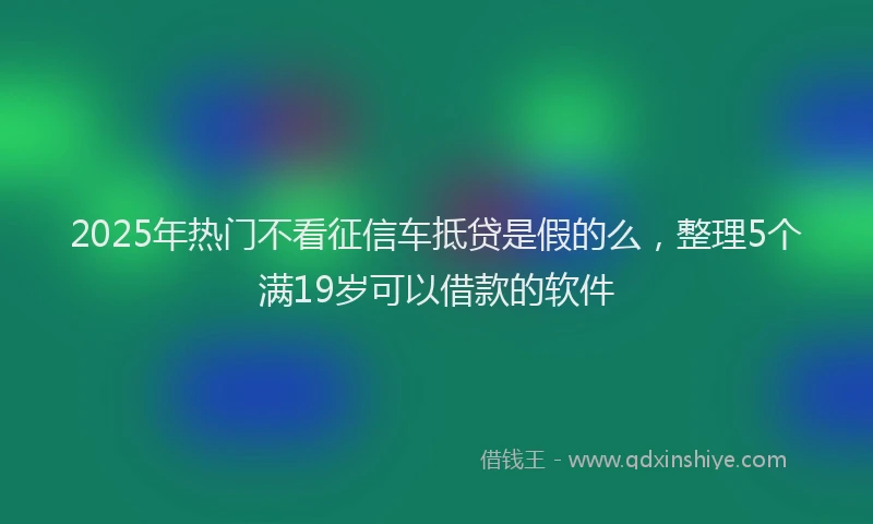 2025年热门不看征信车抵贷是假的么，整理5个满19岁可以借款的软件
