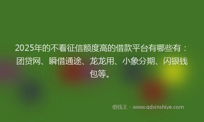 2025年的不看征信额度高的借款平台有哪些有：团贷网、瞬借通途、龙龙用、小象分期、闪银钱包等。