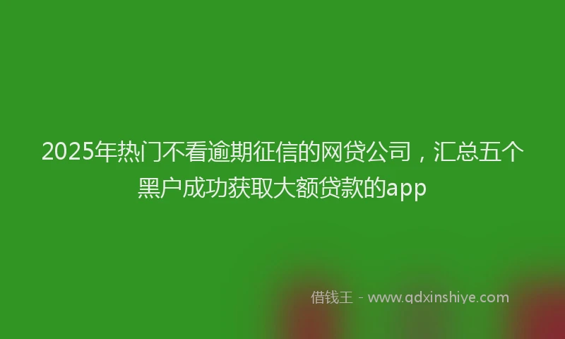 2025年热门不看逾期征信的网贷公司，汇总五个黑户成功获取大额贷款的app