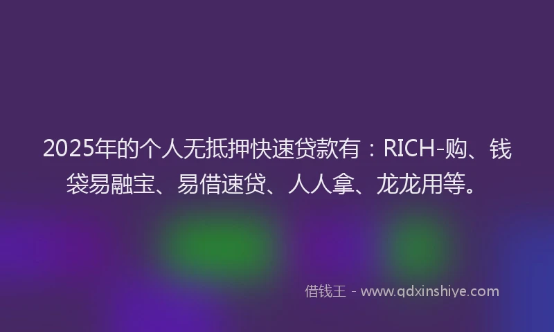 2025年的个人无抵押快速贷款有：RICH-购、钱袋易融宝、易借速贷、人人拿、龙龙用等。