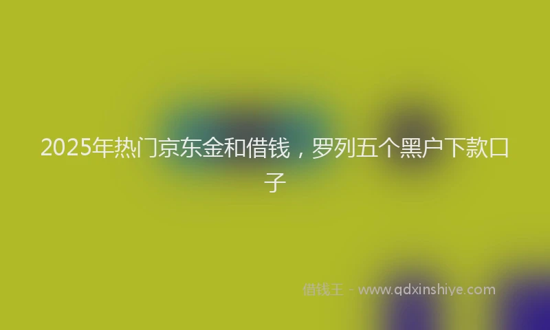 2025年热门京东金和借钱，罗列五个黑户下款口子