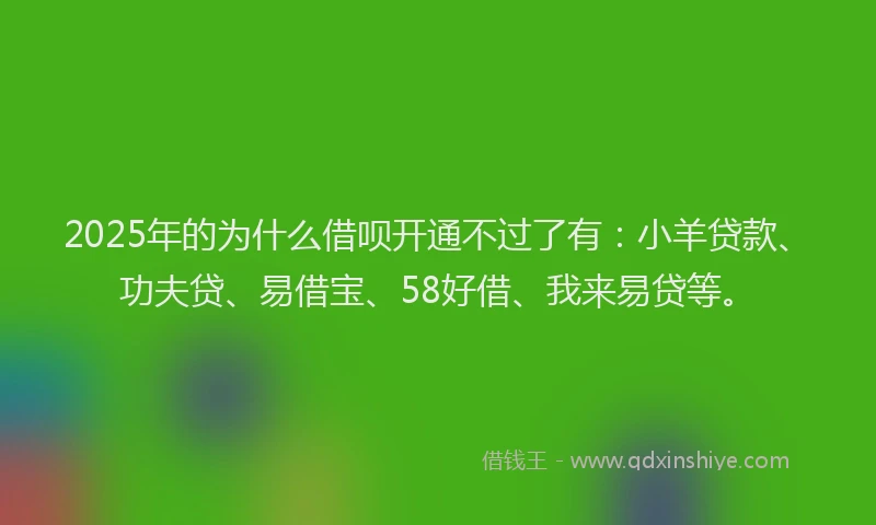 2025年的为什么借呗开通不过了有：小羊贷款、功夫贷、易借宝、58好借、我来易贷等。