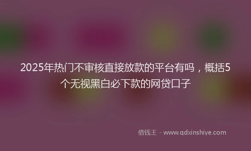 2025年热门不审核直接放款的平台有吗，概括5个无视黑白必下款的网贷口子