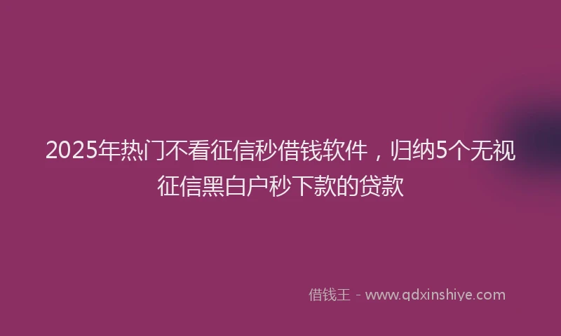 2025年热门不看征信秒借钱软件，归纳5个无视征信黑白户秒下款的贷款