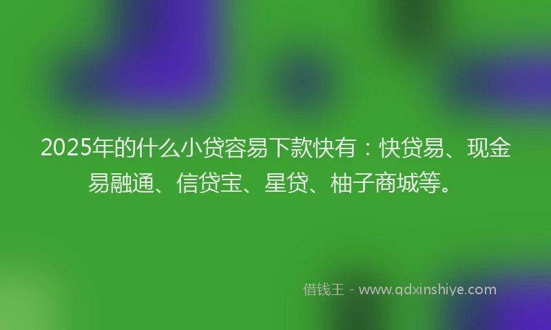 2025年的什么小贷容易下款快有：快贷易、现金易融通、信贷宝、星贷、柚子商城等。
