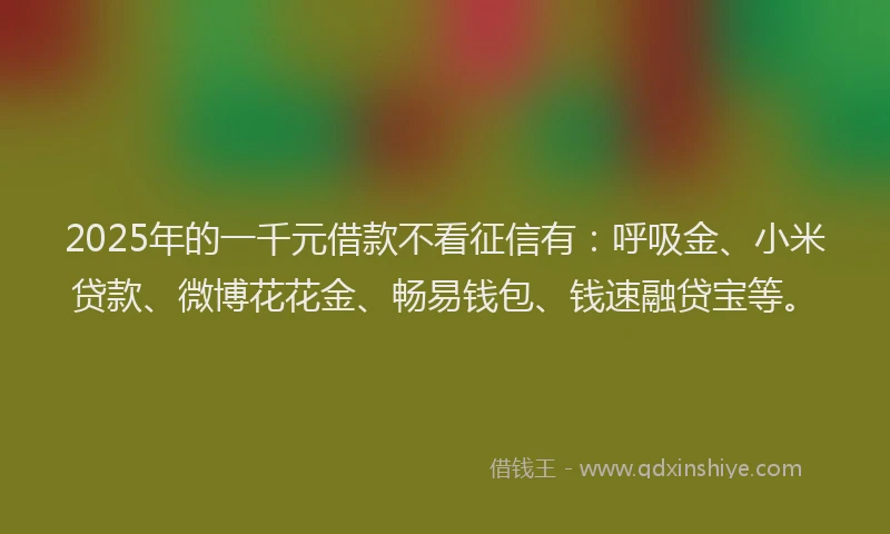 2025年的一千元借款不看征信有：呼吸金、小米贷款、微博花花金、畅易钱包、钱速融贷宝等。