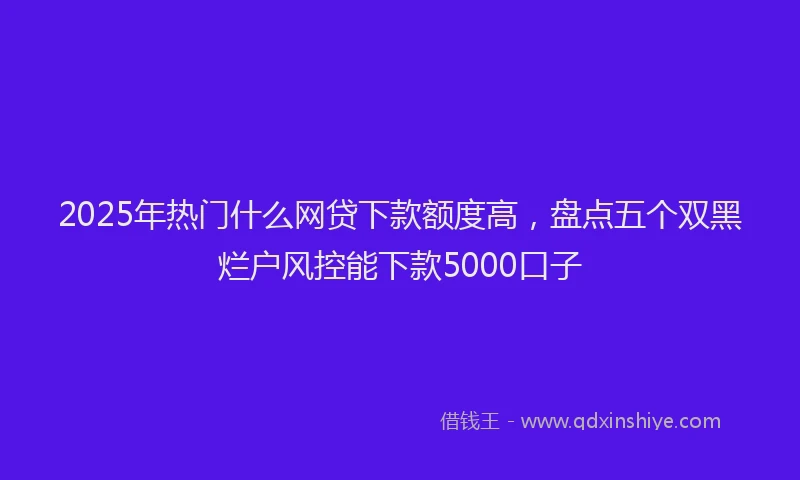 2025年热门什么网贷下款额度高，盘点五个双黑烂户风控能下款5000口子