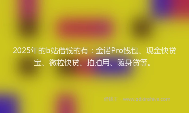 2025年的b站借钱的有：金诺Pro钱包、现金快贷宝、微粒快贷、拍拍用、随身贷等。