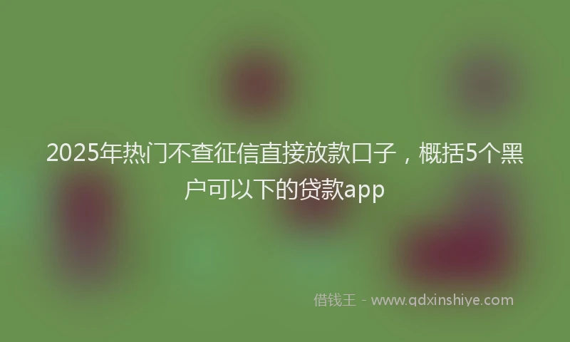 2025年热门不查征信直接放款口子，概括5个黑户可以下的贷款app