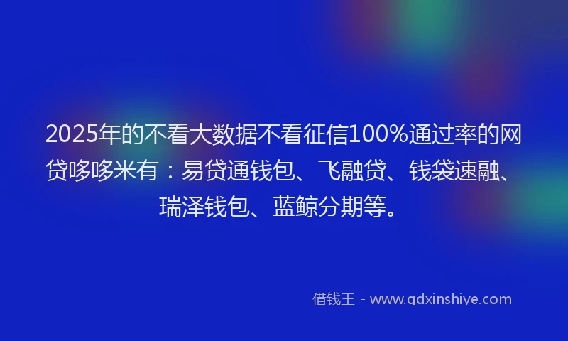 2025年的不看大数据不看征信100%通过率的网贷哆哆米有：易贷通钱包、飞融贷、钱袋速融、瑞泽钱包、蓝鲸分期等。