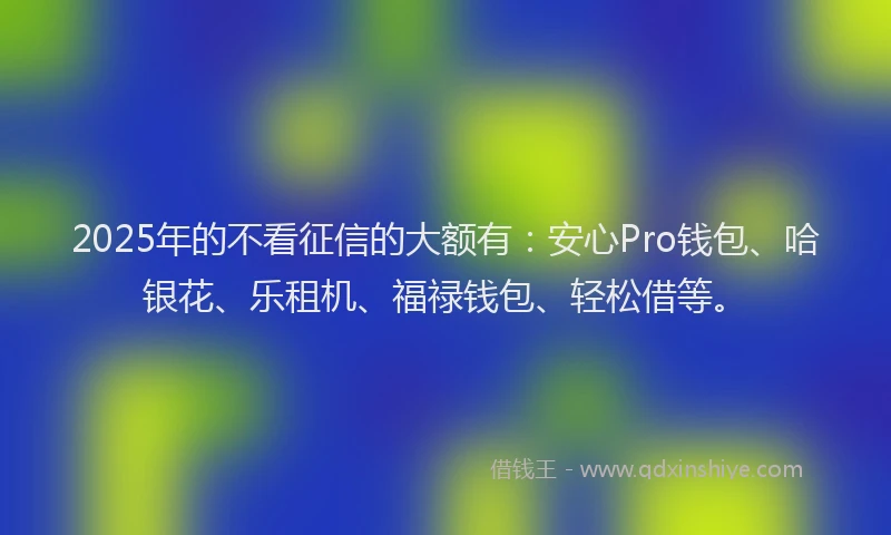 2025年的不看征信的大额有：安心Pro钱包、哈银花、乐租机、福禄钱包、轻松借等。