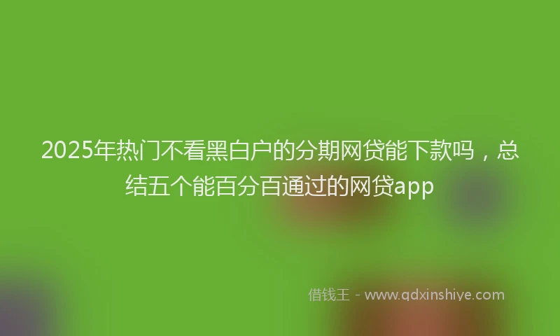 2025年热门不看黑白户的分期网贷能下款吗，总结五个能百分百通过的网贷app