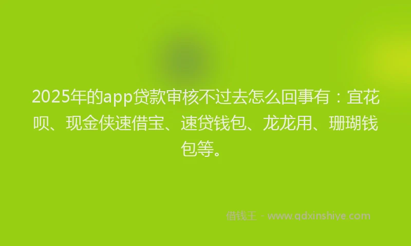 2025年的app贷款审核不过去怎么回事有：宜花呗、现金侠速借宝、速贷钱包、龙龙用、珊瑚钱包等。