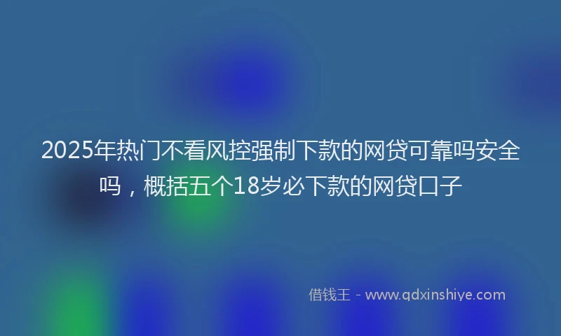 2025年热门不看风控强制下款的网贷可靠吗安全吗，概括五个18岁必下款的网贷口子