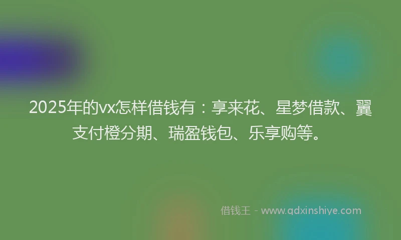 2025年的vx怎样借钱有：享来花、星梦借款、翼支付橙分期、瑞盈钱包、乐享购等。