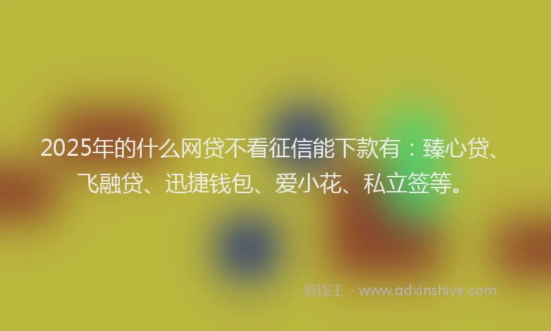 2025年的什么网贷不看征信能下款有：臻心贷、飞融贷、迅捷钱包、爱小花、私立签等。