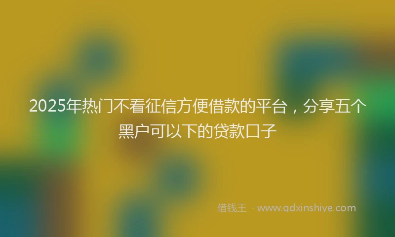 2025年热门不看征信方便借款的平台，分享五个黑户可以下的贷款口子