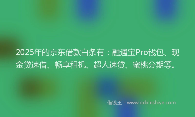 2025年的京东借款白条有：融通宝Pro钱包、现金贷速借、畅享租机、超人速贷、蜜桃分期等。