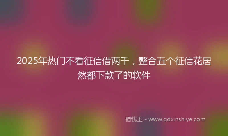 2025年热门不看征信借两千，整合五个征信花居然都下款了的软件