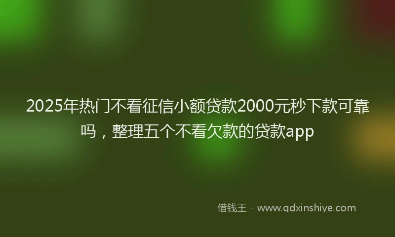 2025年热门不看征信小额贷款2000元秒下款可靠吗，整理五个不看欠款的贷款app