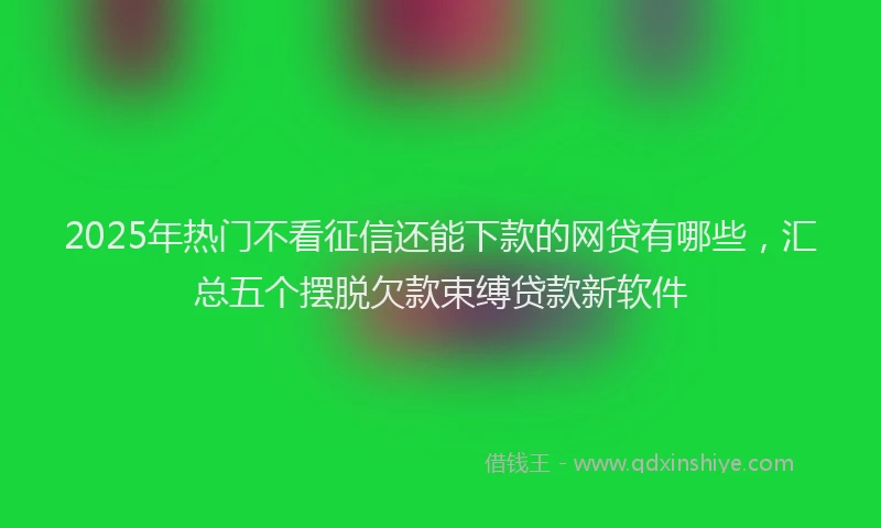 2025年热门不看征信还能下款的网贷有哪些，汇总五个摆脱欠款束缚贷款新软件