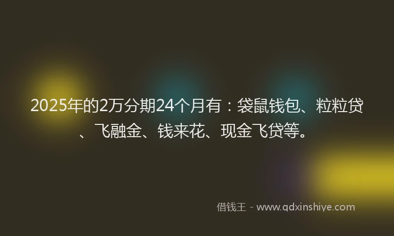 2025年的2万分期24个月有：袋鼠钱包、粒粒贷、飞融金、钱来花、现金飞贷等。