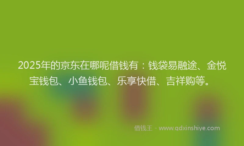 2025年的京东在哪呢借钱有：钱袋易融途、金悦宝钱包、小鱼钱包、乐享快借、吉祥购等。