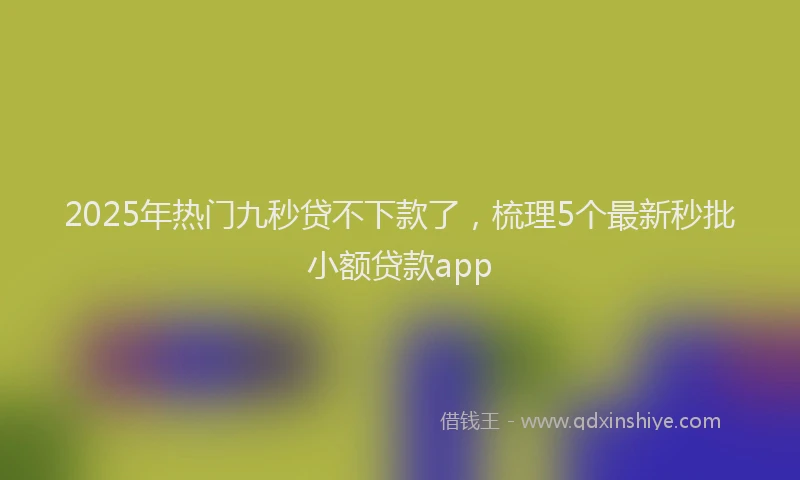 2025年热门九秒贷不下款了，梳理5个最新秒批小额贷款app