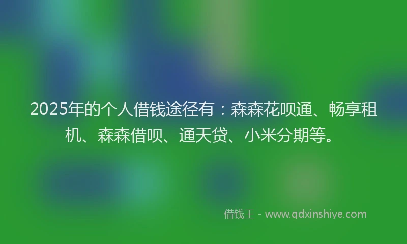 2025年的个人借钱途径有：森森花呗通、畅享租机、森森借呗、通天贷、小米分期等。