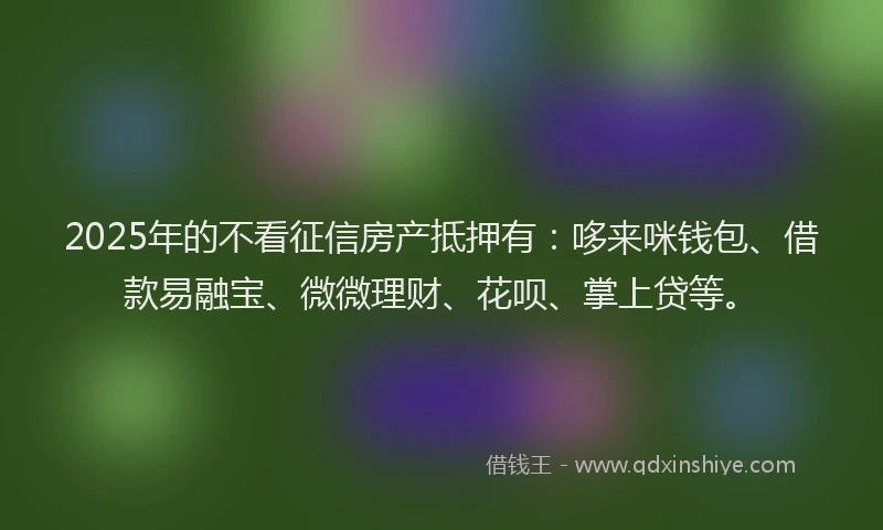 2025年的不看征信房产抵押有：哆来咪钱包、借款易融宝、微微理财、花呗、掌上贷等。