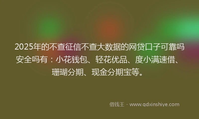 2025年的不查征信不查大数据的网贷口子可靠吗安全吗有：小花钱包、轻花优品、度小满速借、珊瑚分期、现金分期宝等。