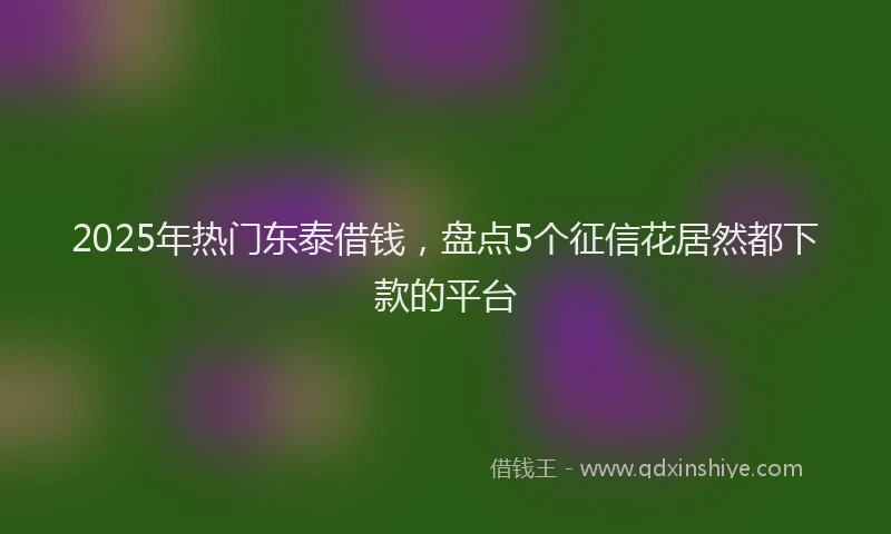 2025年热门东泰借钱，盘点5个征信花居然都下款的平台