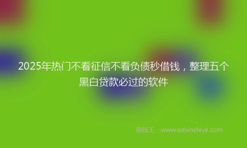 2025年热门不看征信不看负债秒借钱，整理五个黑白贷款必过的软件