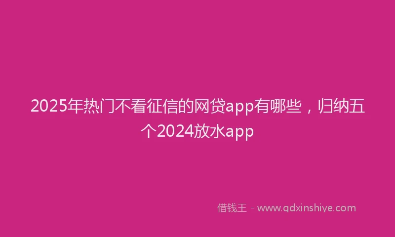 2025年热门不看征信的网贷app有哪些，归纳五个2024放水app