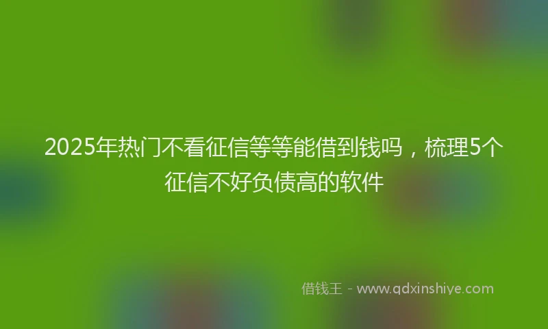 2025年热门不看征信等等能借到钱吗，梳理5个征信不好负债高的软件