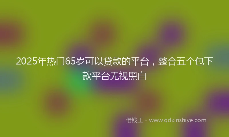 2025年热门65岁可以贷款的平台，整合五个包下款平台无视黑白