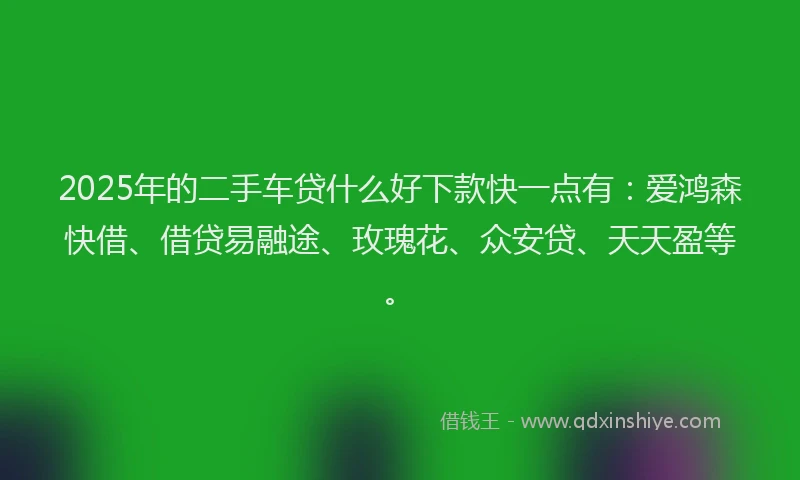 2025年的二手车贷什么好下款快一点有：爱鸿森快借、借贷易融途、玫瑰花、众安贷、天天盈等。