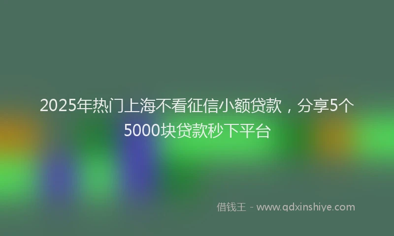 2025年热门上海不看征信小额贷款，分享5个5000块贷款秒下平台