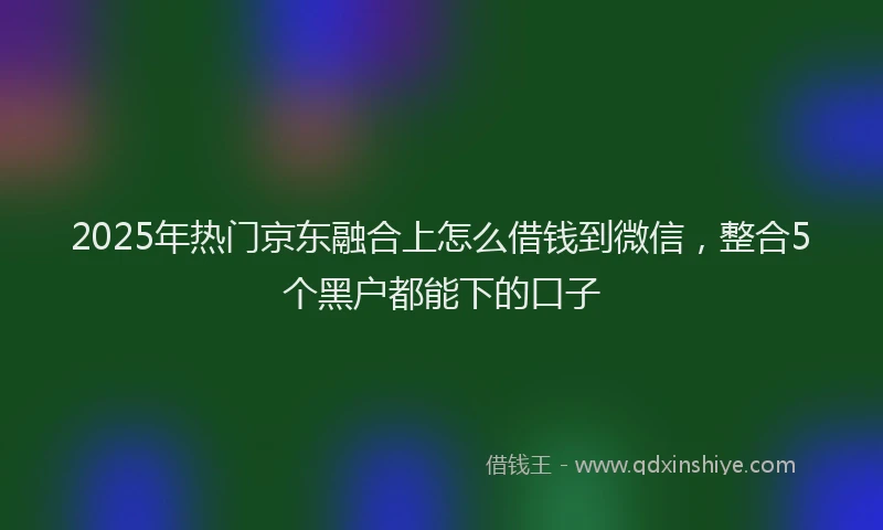 2025年热门京东融合上怎么借钱到微信，整合5个黑户都能下的口子