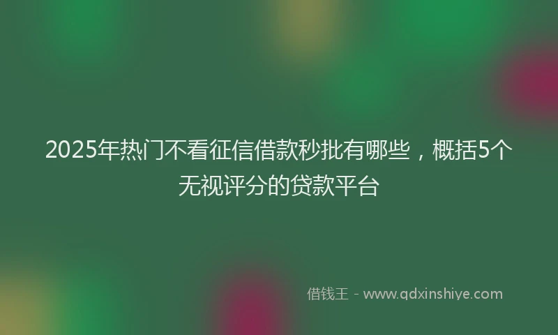 2025年热门不看征信借款秒批有哪些，概括5个无视评分的贷款平台