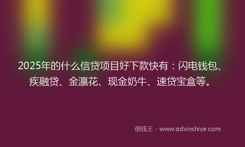 2025年的什么信贷项目好下款快有：闪电钱包、疾融贷、金瀛花、现金奶牛、速贷宝盒等。