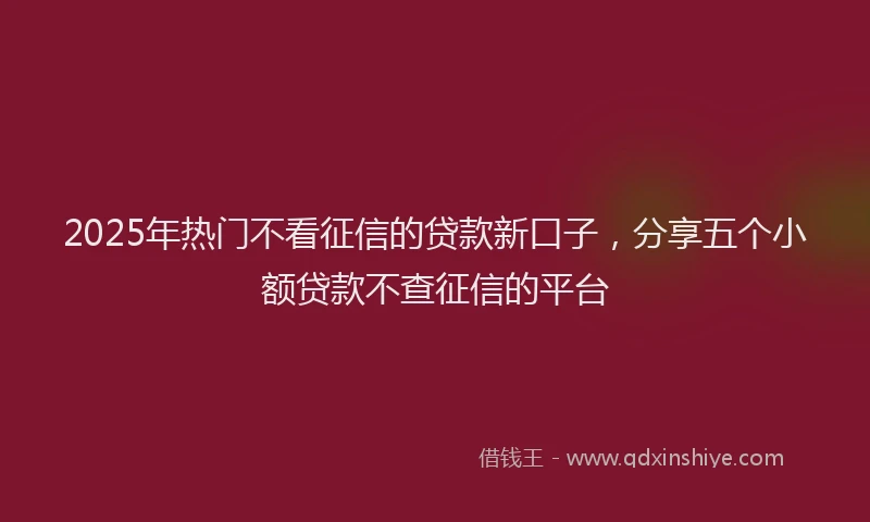 2025年热门不看征信的贷款新口子，分享五个小额贷款不查征信的平台