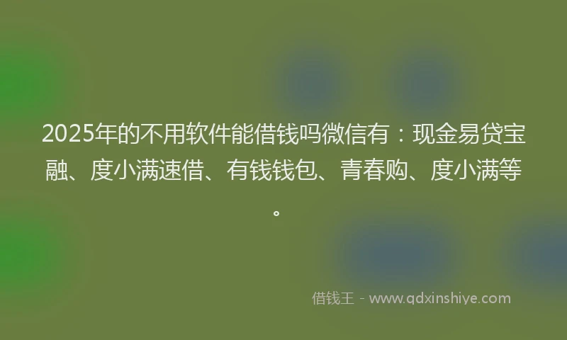 2025年的不用软件能借钱吗微信有：现金易贷宝融、度小满速借、有钱钱包、青春购、度小满等。